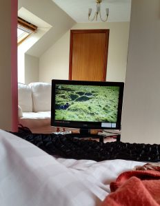 Perfect rainy day with Tony Robinson and Time Team